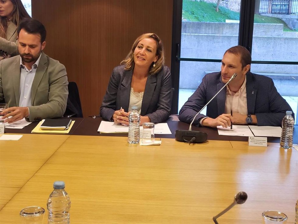 La diputada de IU Convocatoria por Asturies, Delia Campomanes, en la reunión de la Alianza por las Infraestructuras.