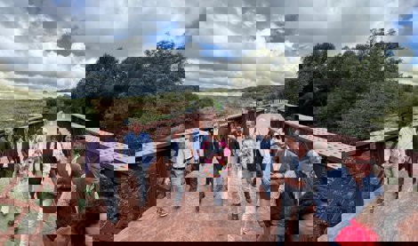 Es Andalucía - Cádiz