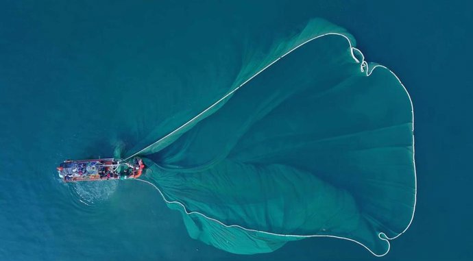 Una imagen del proyecto Ecofish que desarrolla la Universidad de Cádiz (UCA) en el Golfo de Cádiz