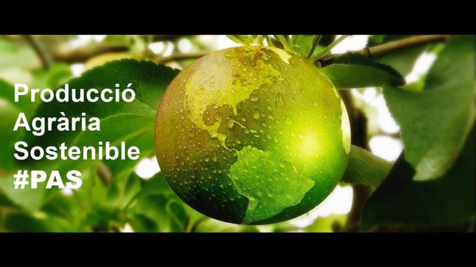 Archivo - La Producció Agrària Sostenible, seleccionada per participar en el Paris Peace Forum 2025