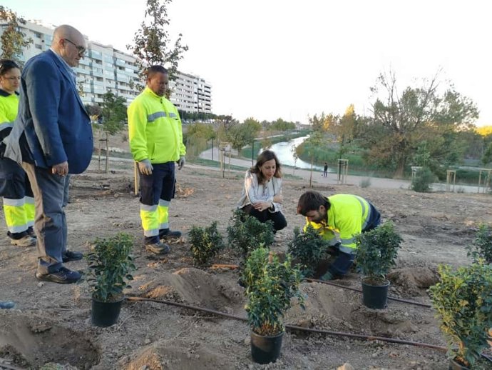La alcaldesa de Zaragoza, Natalia Chueca, junto a la consejera municipal de Medio Ambiente y Movilidad, Tatiana Gaudes, y representantes vecinales de Parque Venecia, visitan la renaturalización Parque Venecia dentro del Bosque de los Zaragozanos