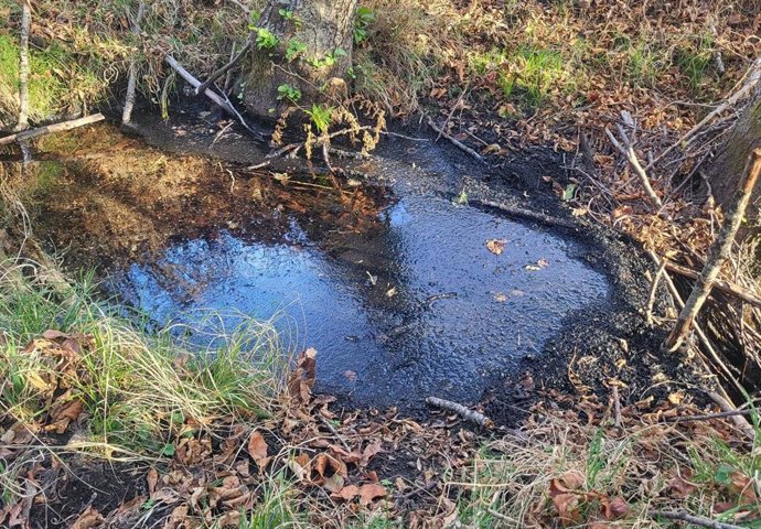 Imagen de cenizas en el Río Duerna (León).