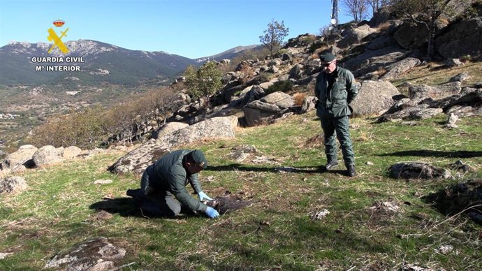 Dos agentes del SEPRONA en la investigación de uso de métodos de caza porohibidos de la Operación Antrax.