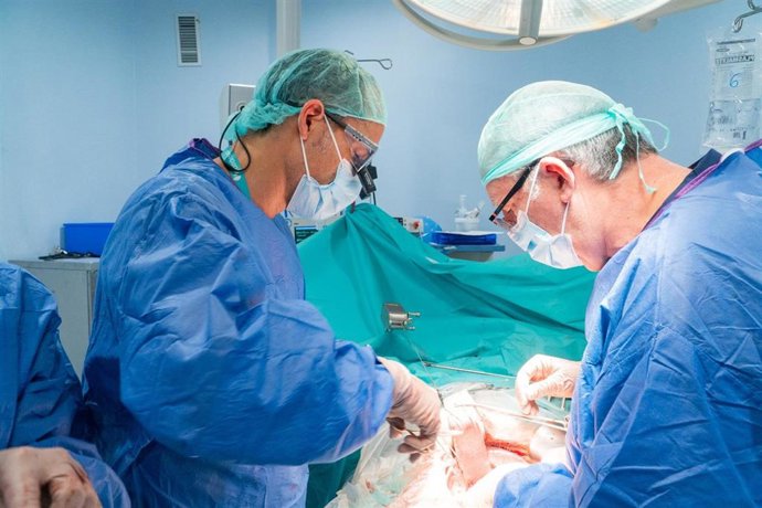 El equipo quirúrgico liderado por el doctor César Ramírez y el doctor José Antonio Pérez Daga ha llevado a cabo un procedimiento de reparación vascular de la vena porta utilizando un injerto de la propia paciente.