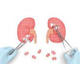 Foto: El total de españoles que necesitan diálisis o trasplante renal se situó en 68.400 el año pasado, 850 más que en 2023