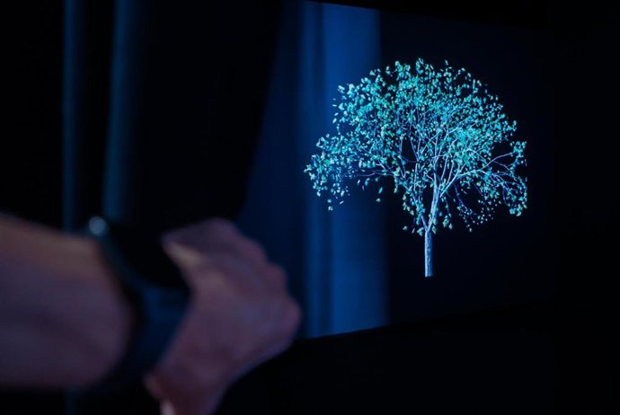 Mucac La Coracha Málaga proyecta 'Devish 8' donde la artista Jennifer Steinkamp explora sobre tecnología y naturaleza.