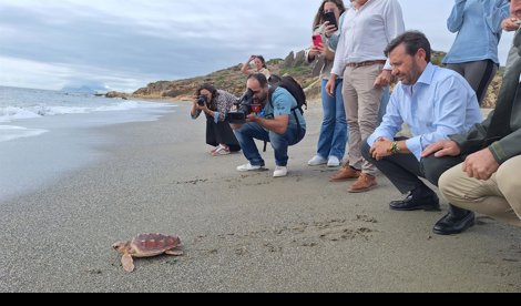 Es Andalucía - Cádiz