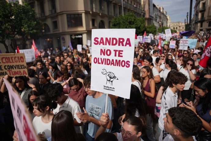 Cartel durante la manifestación convocada por el Sindicato de Estudiantes en Sevilla contra el acoso escolar tras el suicidio de Sandra Peña