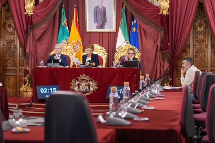 Pleno extraordinario de la Diputación con la ausencia de los diputados del PSOE a excepción de su portavoz.