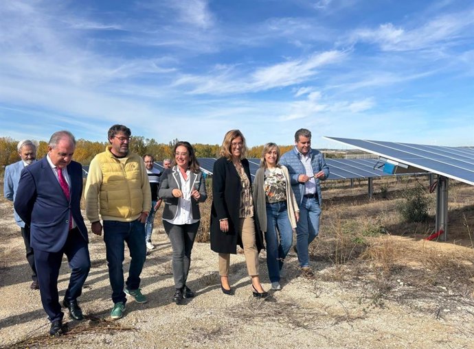 Visita A La Nueva Planta Fotovoltaica De Soto De Cerrato (Palencia).