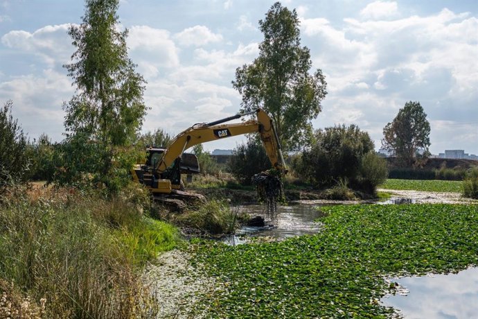 Retirada del nenúfar con maquinaria.