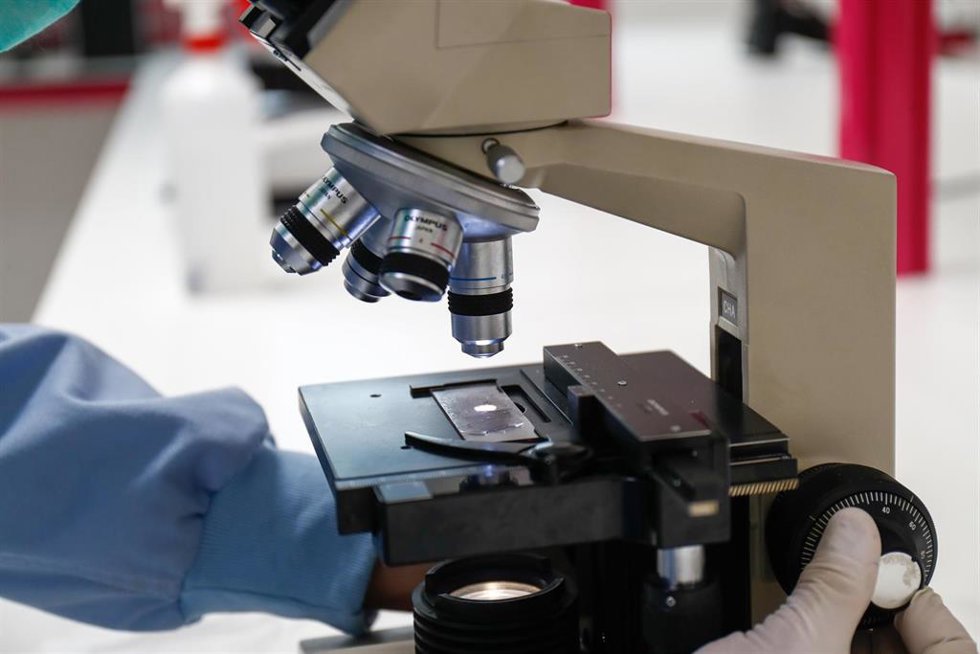 Archivo - Un hombre trabaja mirando por un microscopio.