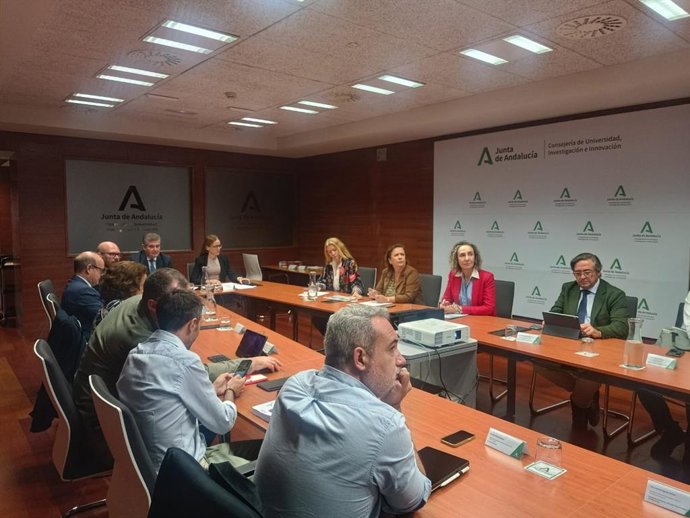 El Comité de Codecisión de la S4Andalucía.