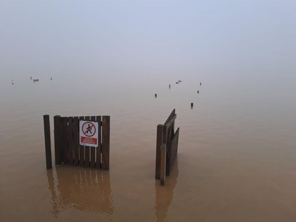 Imágenes de l'Albufera tras la dana.  SEO/BirdLife urge a adaptar medidas que mejoren la resiliencia hídrica frente a eventos agravados por cambio climático