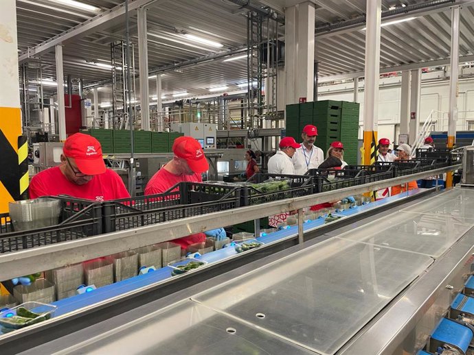 Archivo - Producción agroalimentaria. (Foto de archivo).