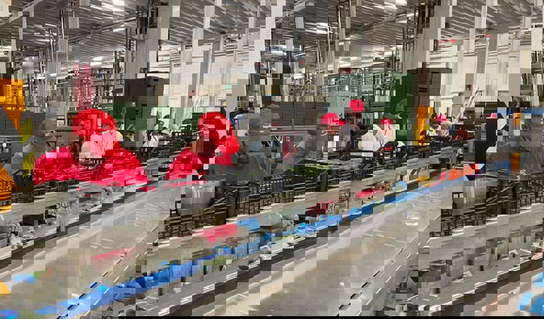 Es Andalucía - Sevilla