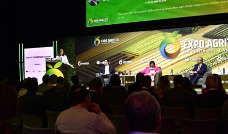 Es Andalucía - Málaga