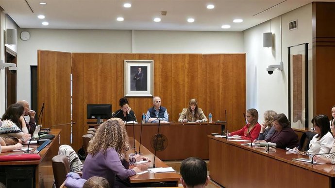 Pleno del Consejo Escolar de Avilés
