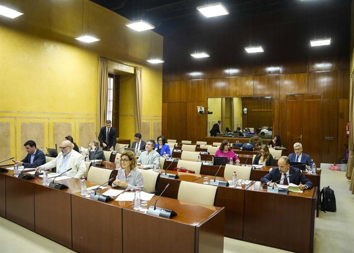 Diputados en la comisión de Universidad, Investigación e Innovación del Parlamento andaluz.