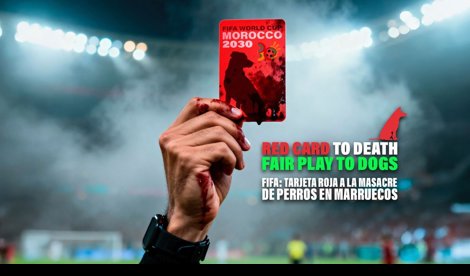 Sociedad