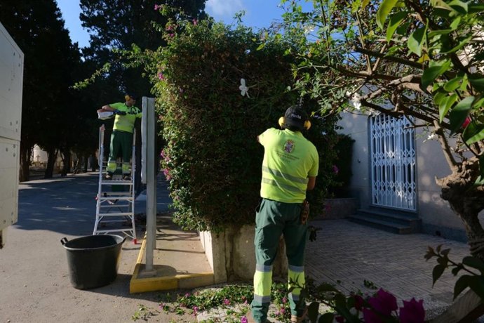 Operarios de Parques y Jardines del Ayuntamiento de Cartagena trabajando en el cementerio por el Día de Todos los Santos
