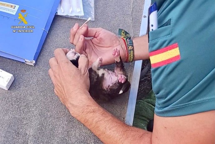 Vídeo de la noticia