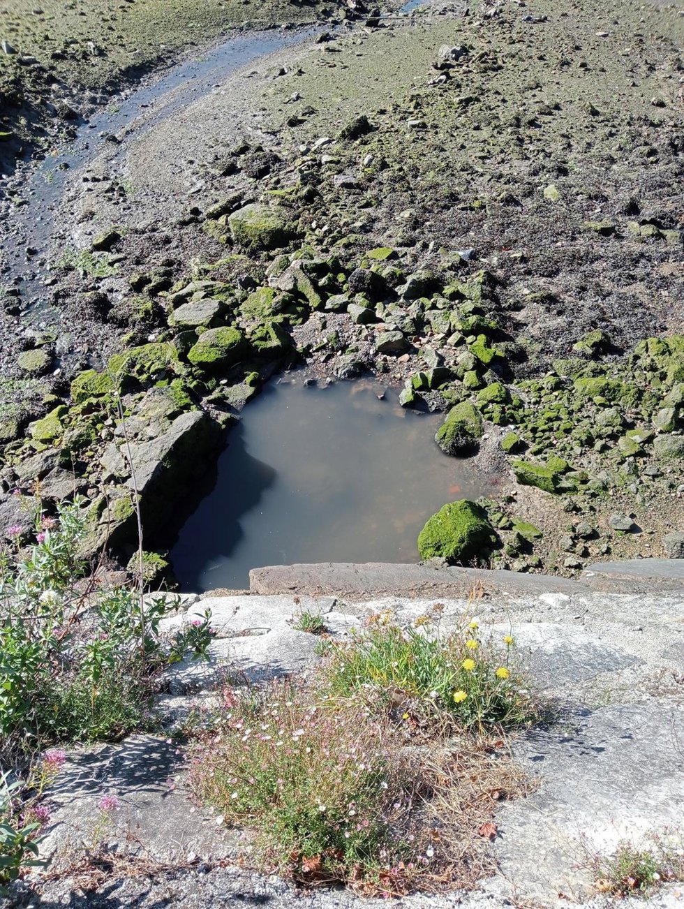 Vertido de aguas residuales en la ría de O Burgo