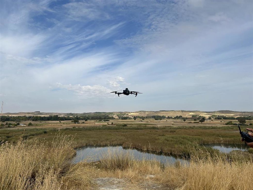 Drones de la Comunidad de Madrid hacen un seguimiento de aves autóctonas en el Parque Regional del Sureste