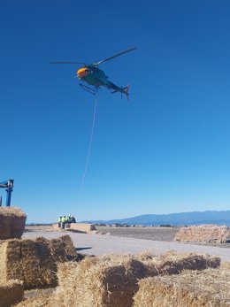 Imagen de las actuaciones que ha iniciado la CHD de restauración hidrológico-forestal en las zonas afectadas por los incendios en León.