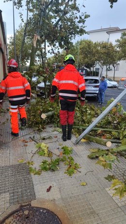 Bomberos del Consorcio Provincial ayudando en las tareas de retiradas de árboles en Isla Cristina (Huelva).