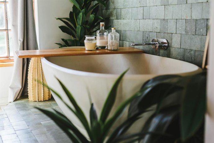 Plantas que não devem ser colocadas no banheiro se não houver vendas ou luz natural.
