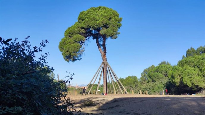 Vista del pi d'en Xandri