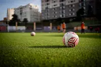 Noticia relacionada 1