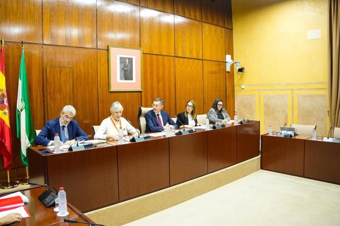 La secretaria de Política Sindical de UGT Andalucía, Clara de la Colina, durante su intervención en la Comisión de Industria, Energía y Minas.