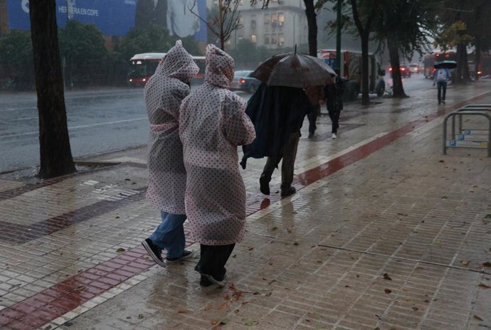 Lluvia en Sevilla este miércoles, 29 de octubre de 2025.