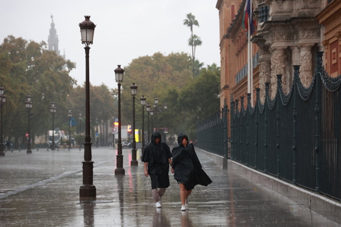 Lluvias en Sevilla este miércoles, 29 de octubre de 2025.
