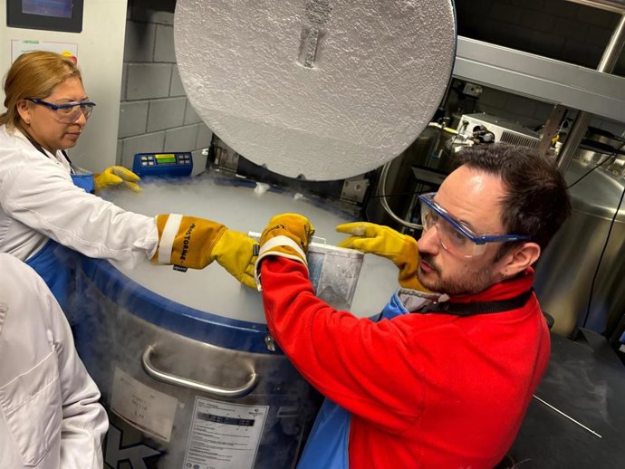 Imagen del Banc de Cordó.