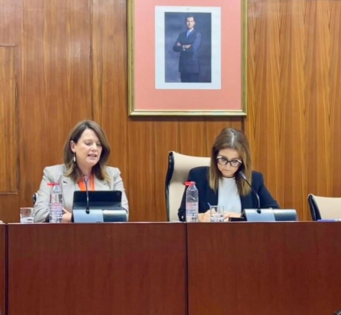 Comparecencia de la diputada provincial Lourdes Martínez en la Comisión de Industria del Parlamento andaluz
