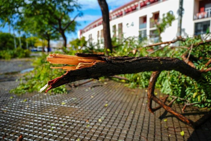 Vídeo de la noticia