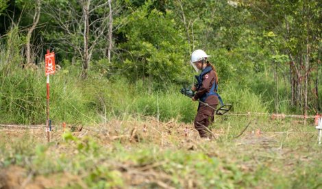 Comunicados Internacional