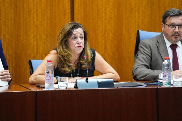 La consejera de Desarrollo Educativo y Formación Profesional, María del Carmen Castillo, en la comisión parlamentaria del 29 de octubre de 2025.