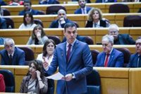 El PP atacará a Sánchez en el Senado con distintos casos abiertos para retratarle como "número 1 de todas las tramas"