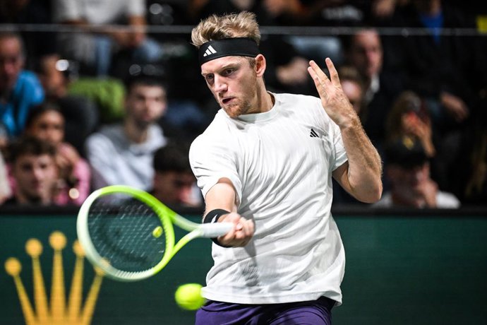 Alejandro Davidovich, Masters 1000 París