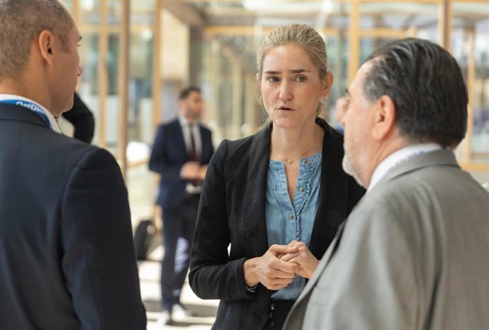 La vicepresidenta tercera y ministra para la Transición Ecológica y el Reto Demográfico, Sara Aagesen, en la  sede del Colegio Oficial de Arquitectos de Madrid, a 27 de octubre de 2025, en Madrid (España). 