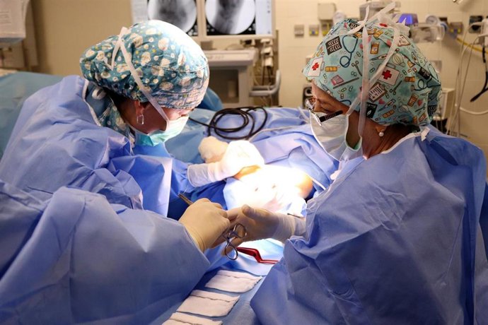 Archivo - Profesionales de la Unidad de Mano de Traumatología del Virgen Macarena. Imagen de archivo.