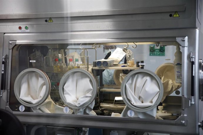 Archivo - Laboratorio de productos farmacéuticos.