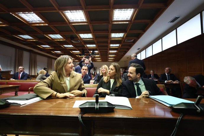 La portavoz del PP en el Senado, Alicia García, durante la Comisión de Investigación sobre el 'caso Koldo', en el Senado, a 30 de octubre de 2025, en Madrid (España). 