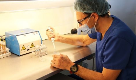 Investigación