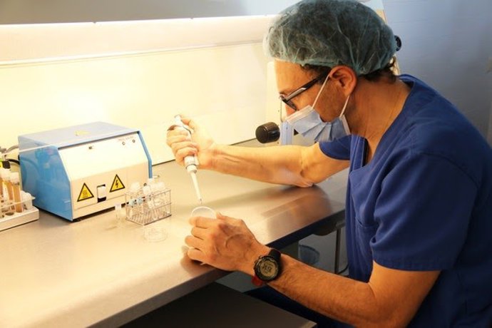 Los avances en reproducción asistida permiten rejuvenecer los ovarios y revolucionar la fertilidad