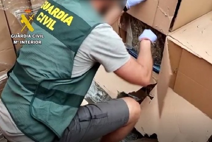 Archivo - Imagen de archivo de un operativo de la Guardia Civil de Málaga para la desarticulación de un entramado de cultivo y venta de marihuana.